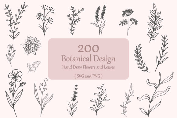 Download 200 Botanical Svg Bundle | Floral Leaves - Floral Collection