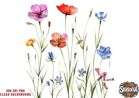 Download Watercolor Floral Border PNG. Wildflower - Floral Collection